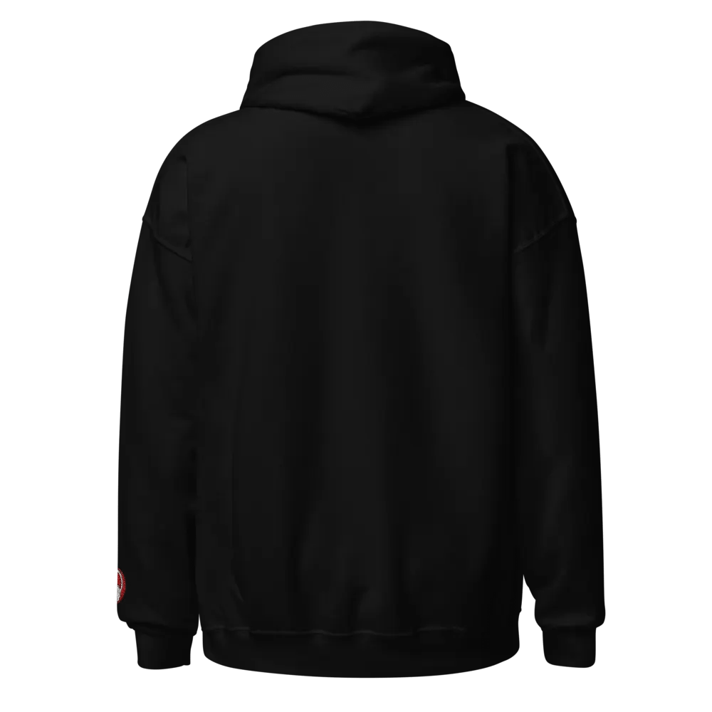 Club Ready DJ School Embroidered Gildan® Classic Hoodie product image (3)