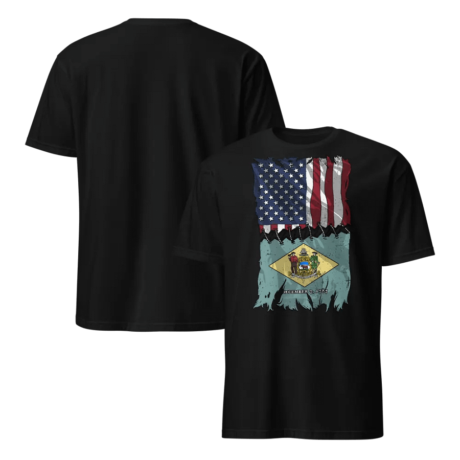 Delaware Stitch Flag USA product image (6)