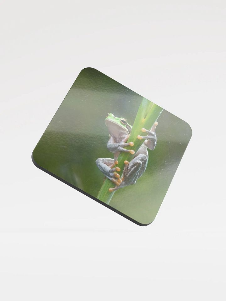 Tree Frog Coaster product image (1)