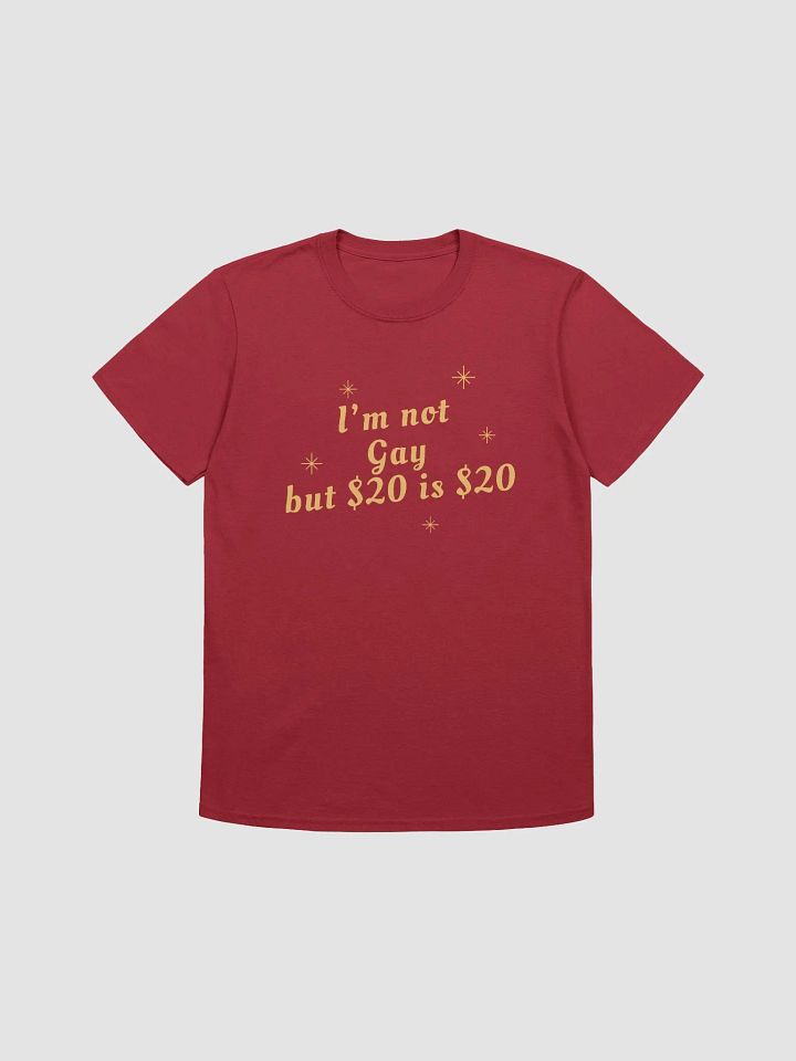 I'm Not Gay But $20 is $20 Unisex T-Shirt V14 product image (1)