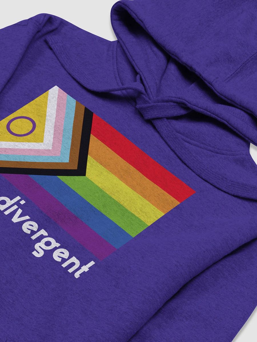 LGBTQIA+ Neurodivergent Inclusive Pride Hoodie product image (3)