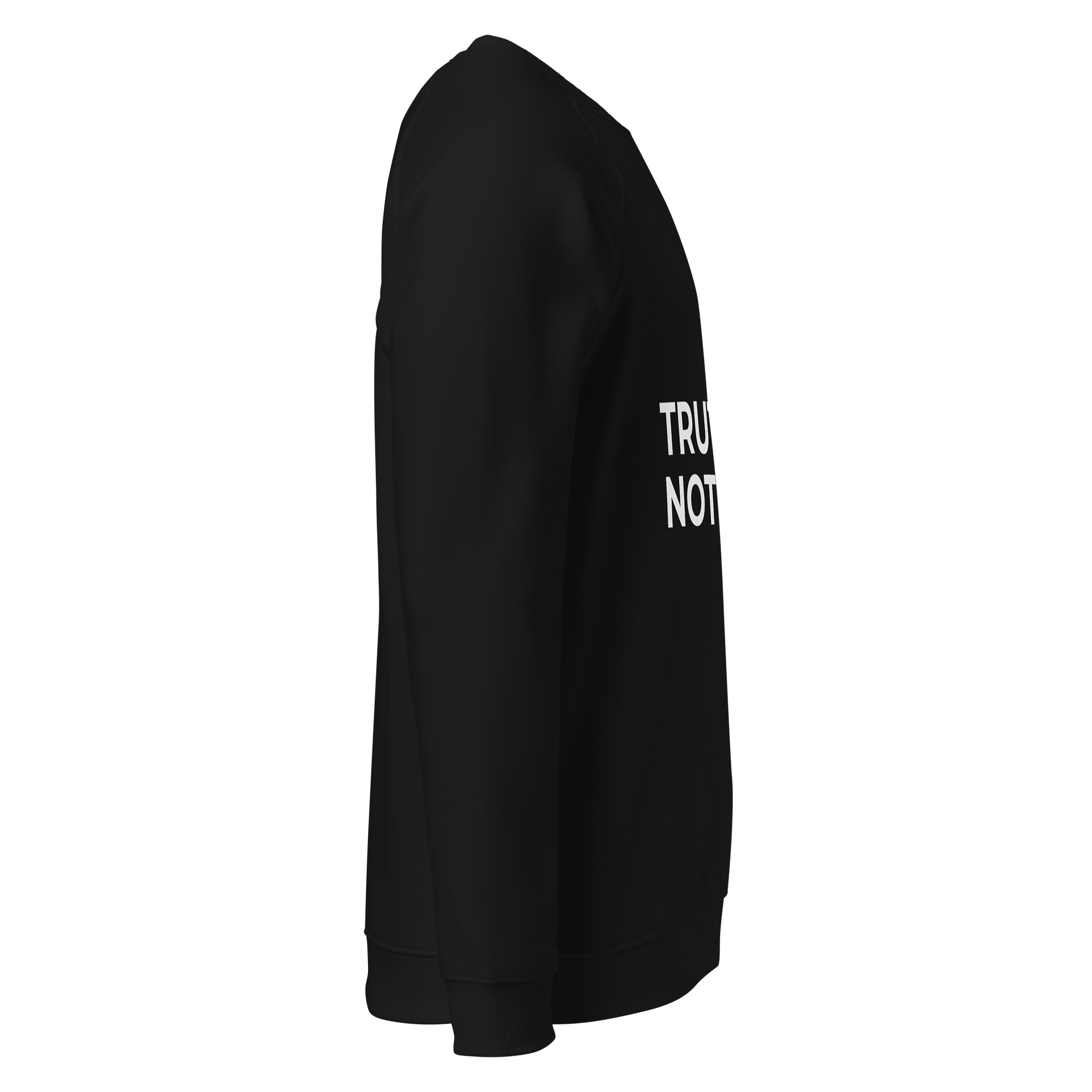 Truth Not Fluff Raglan Sweatshirt product image (7)