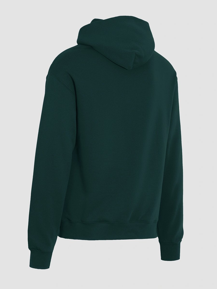 Soulful Palette Unisex Oversized Hoodie product image (6)