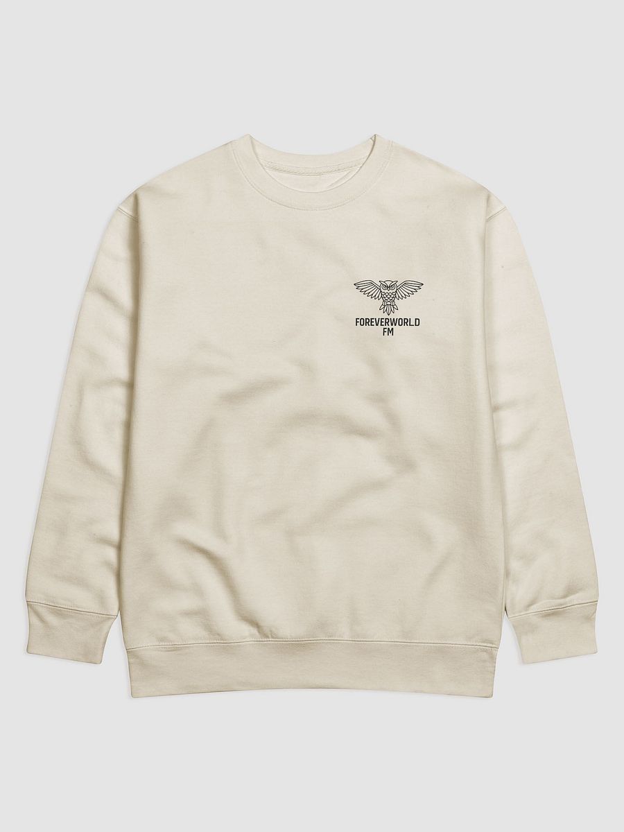 Foreverworld FM Long Sleve Shirt product image (3)