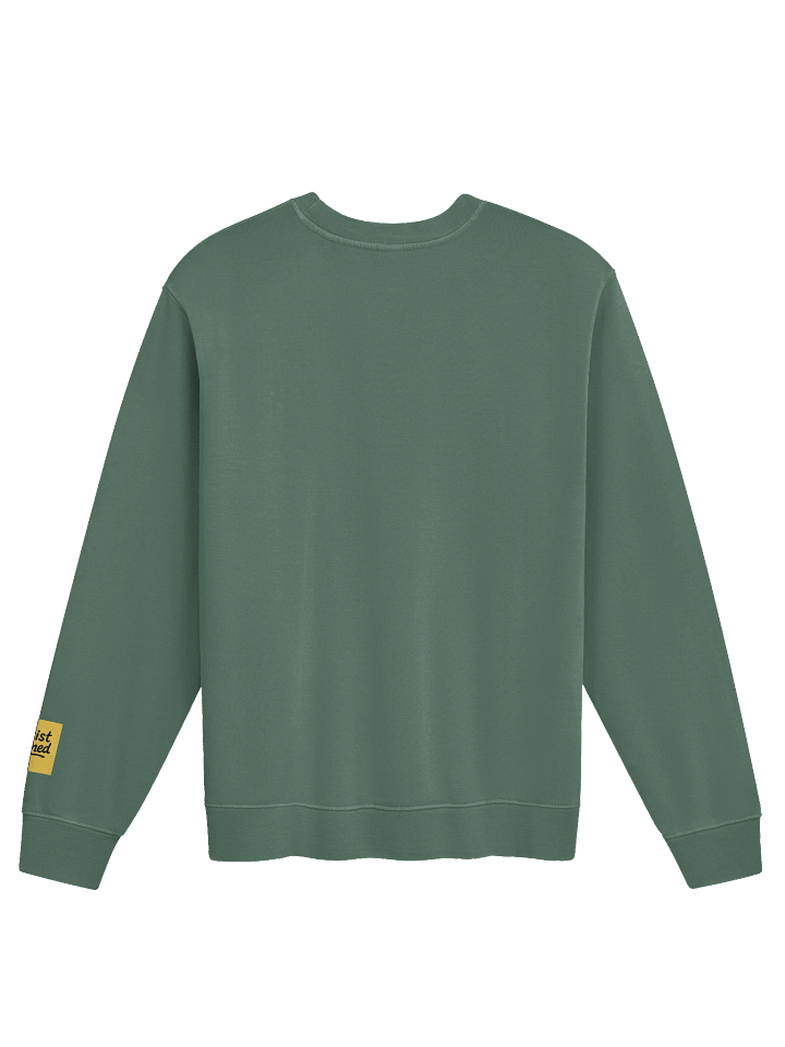 ARTIST OWNED Sweatshirt product image (12)