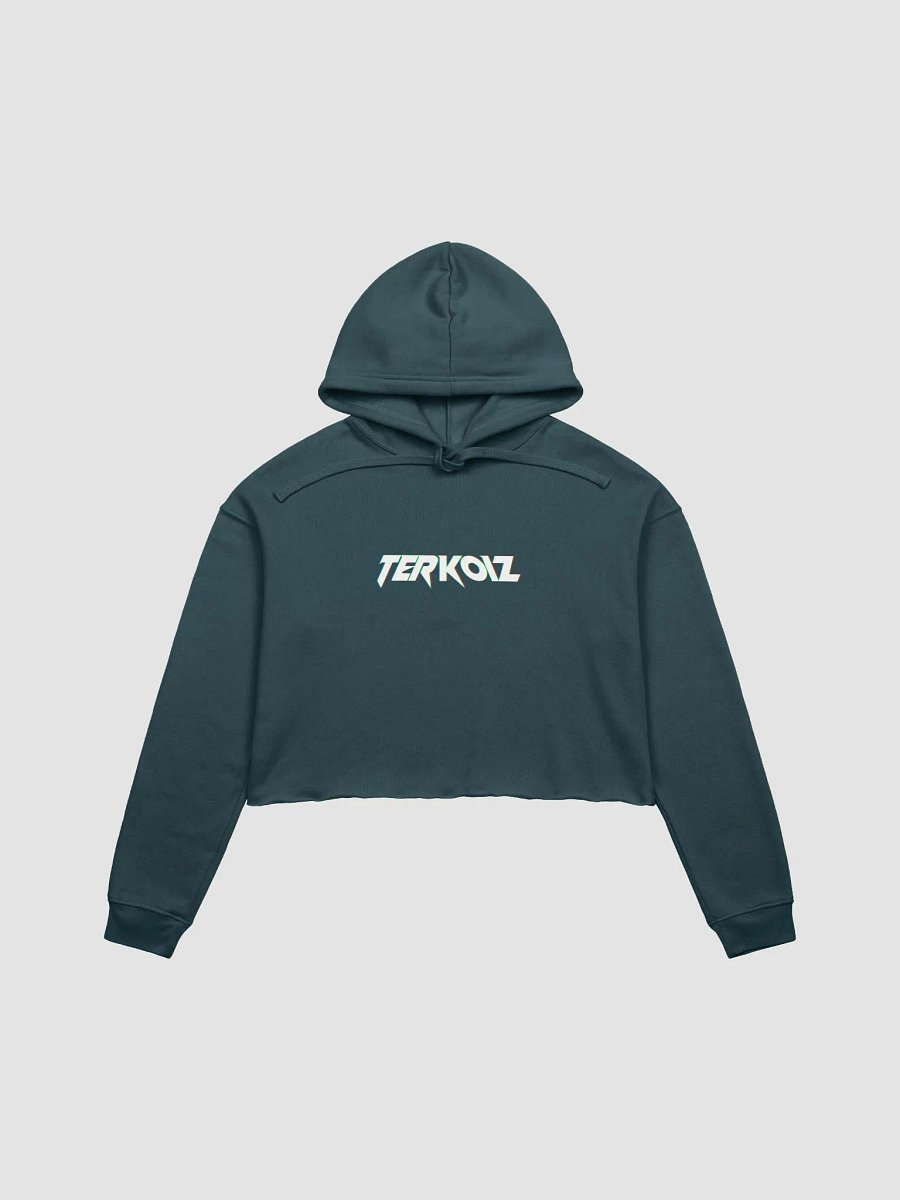 TERKOIZ LOGO CROPTOP HOODIE product image (1)