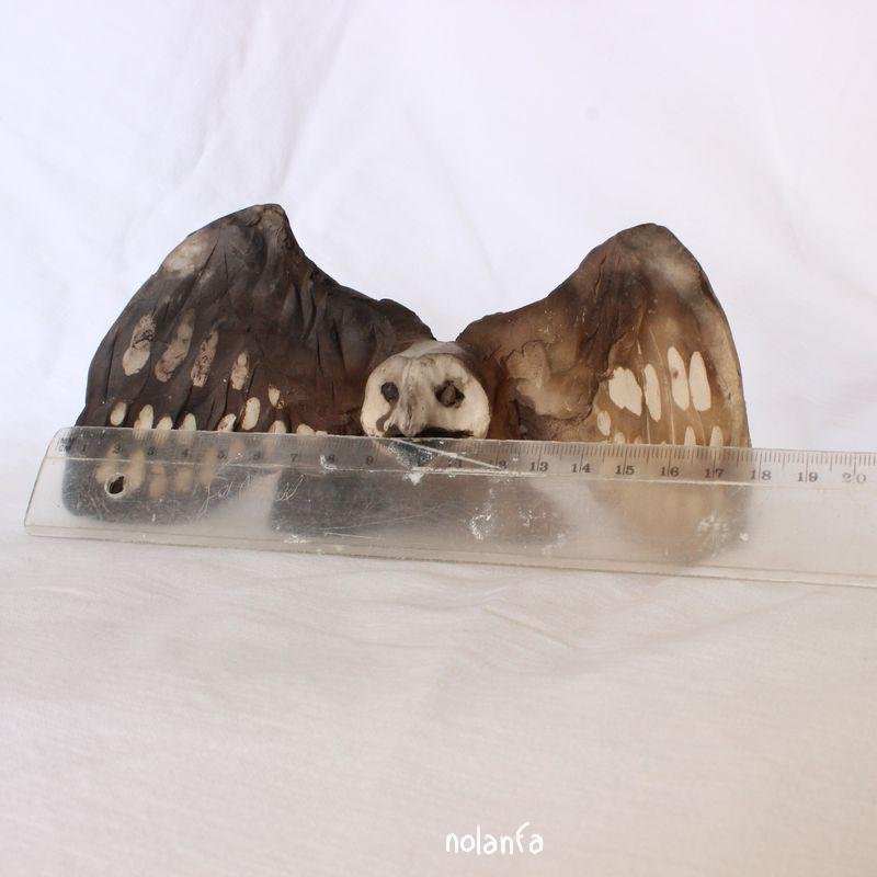 Open winged Owl product image (6)