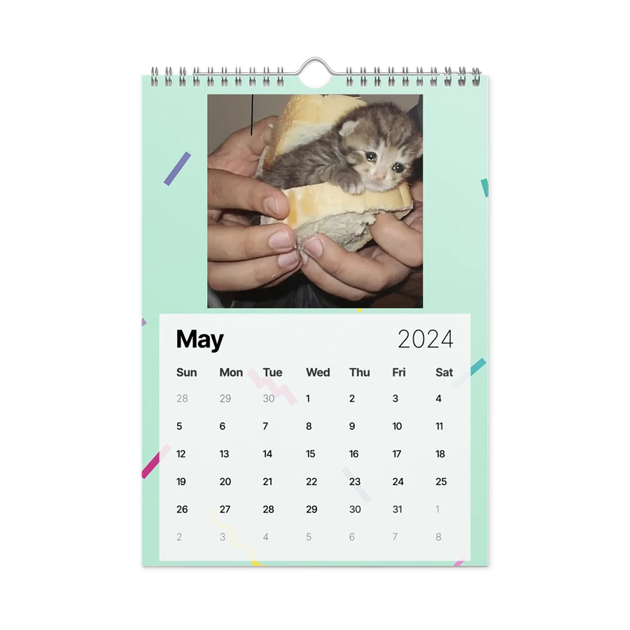 Wall Calendar (2024): Meme Cats product image (14)