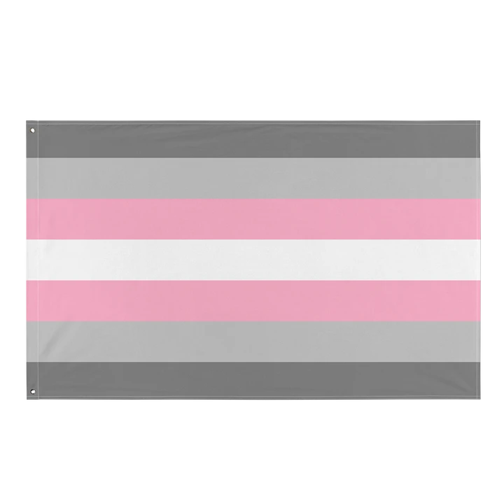 Demigirl Pride Flag product image (1)