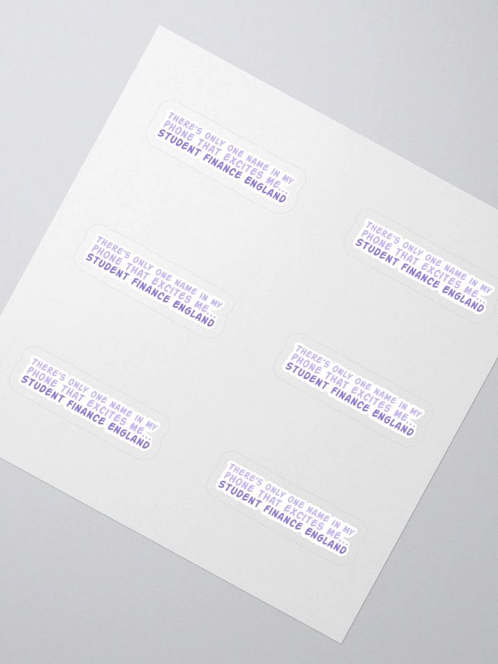 Student Finance Sticker (MEDIUM Sheet) product image (2)