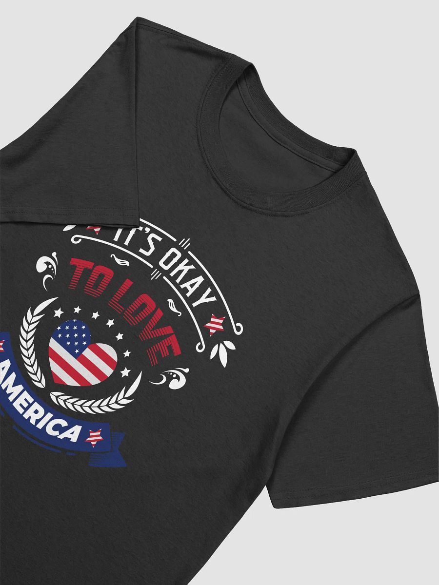 Its Okay To Love America T-Shirt product image (4)