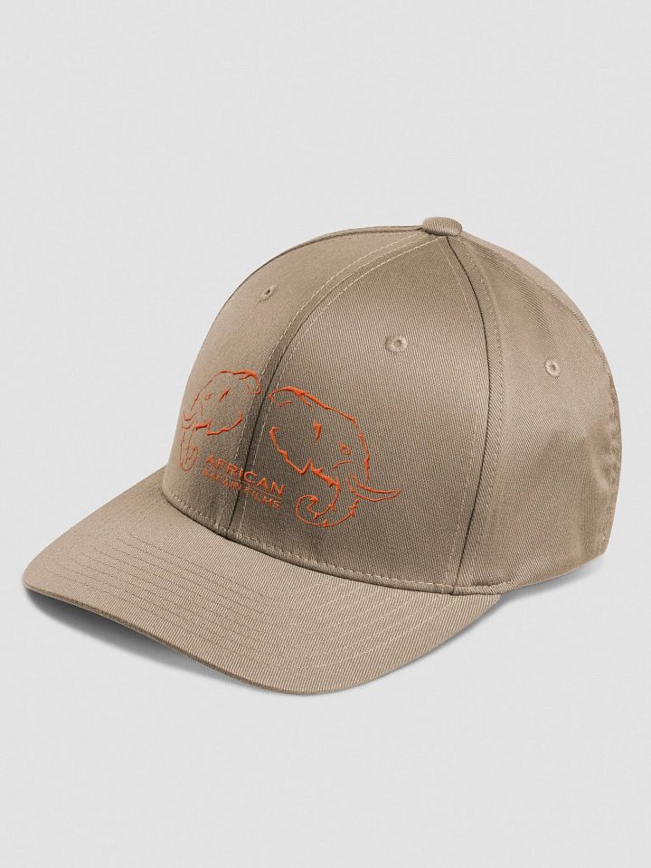 ASF Cap product image (4)