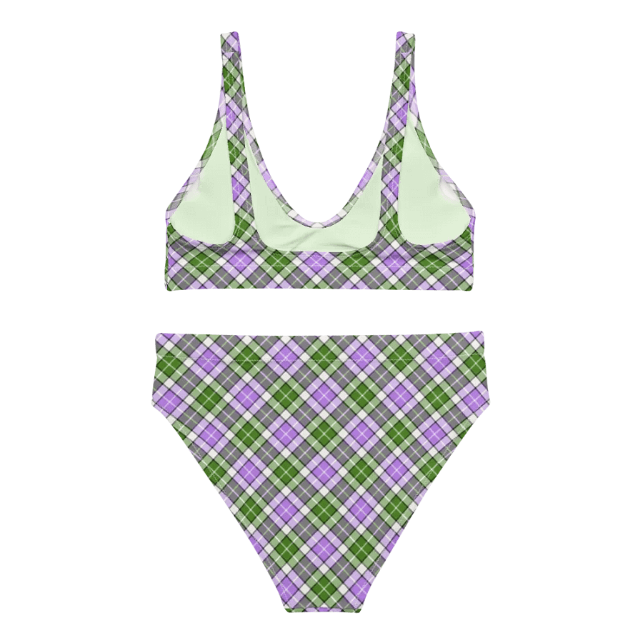 Lavender and Green Plaid Bikini product image (4)