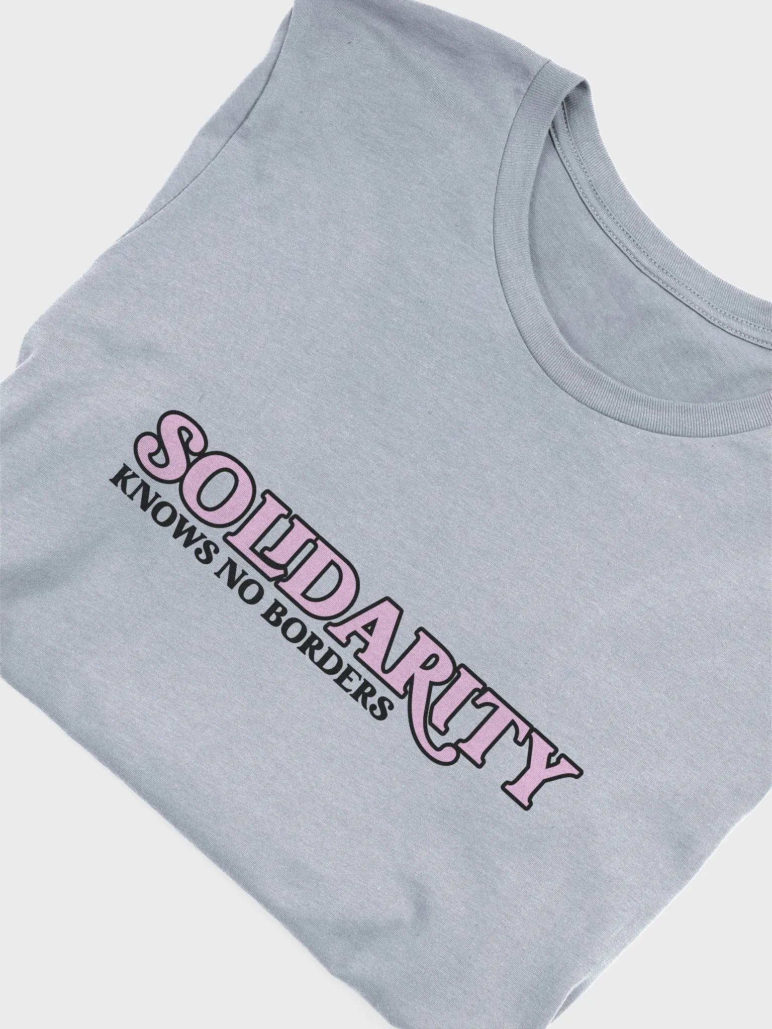 The 'Solidarity Knows No Borders' T-Shirt - Loose Fit product image (1)