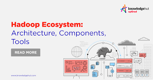 Overview of Tools in the Hadoop Ecosystem product image (1)