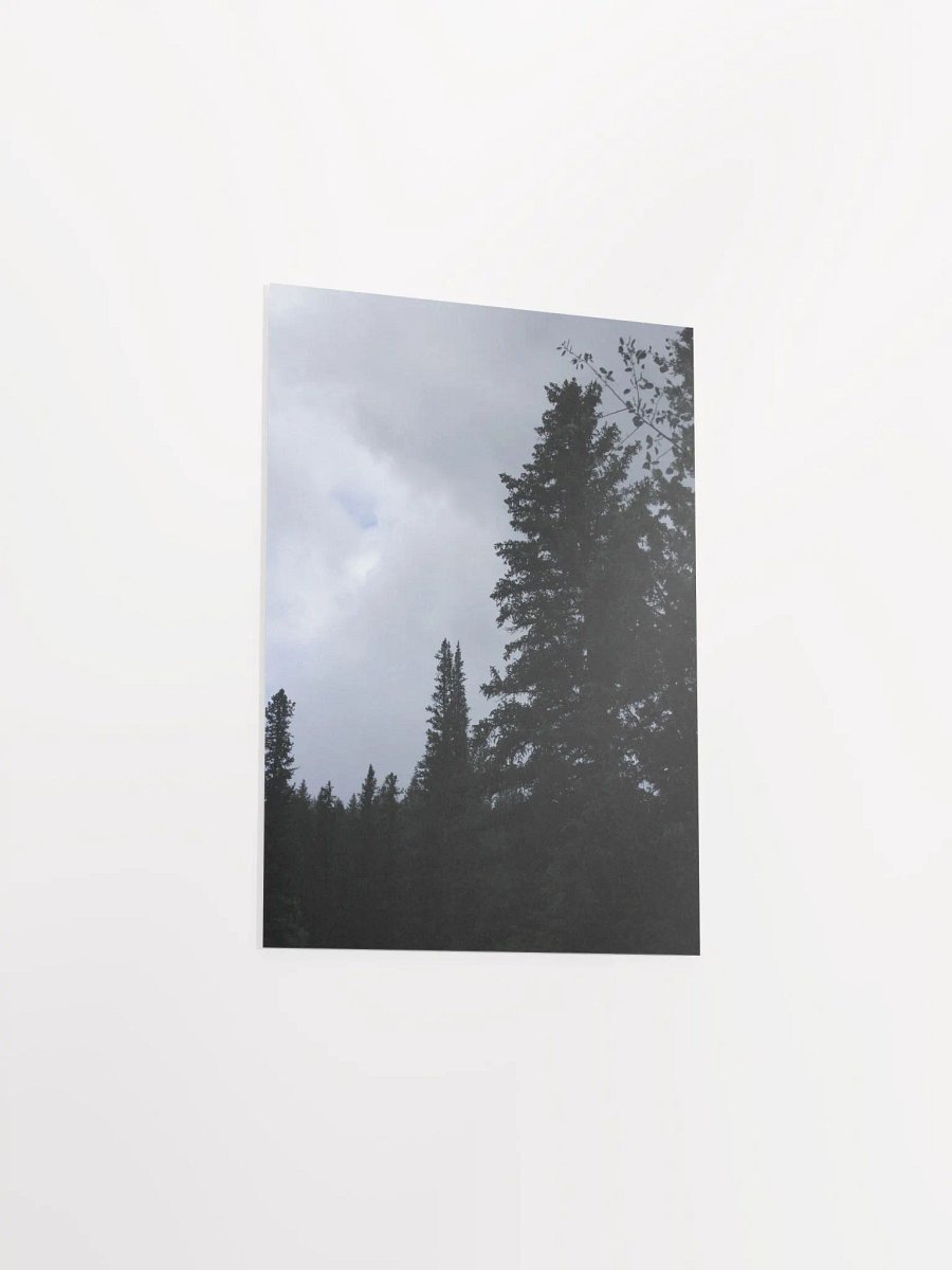 This Is Not In Black & White - Poster product image (10)