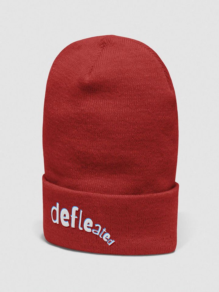 DEFLEATED cuffed beanie product image (32)