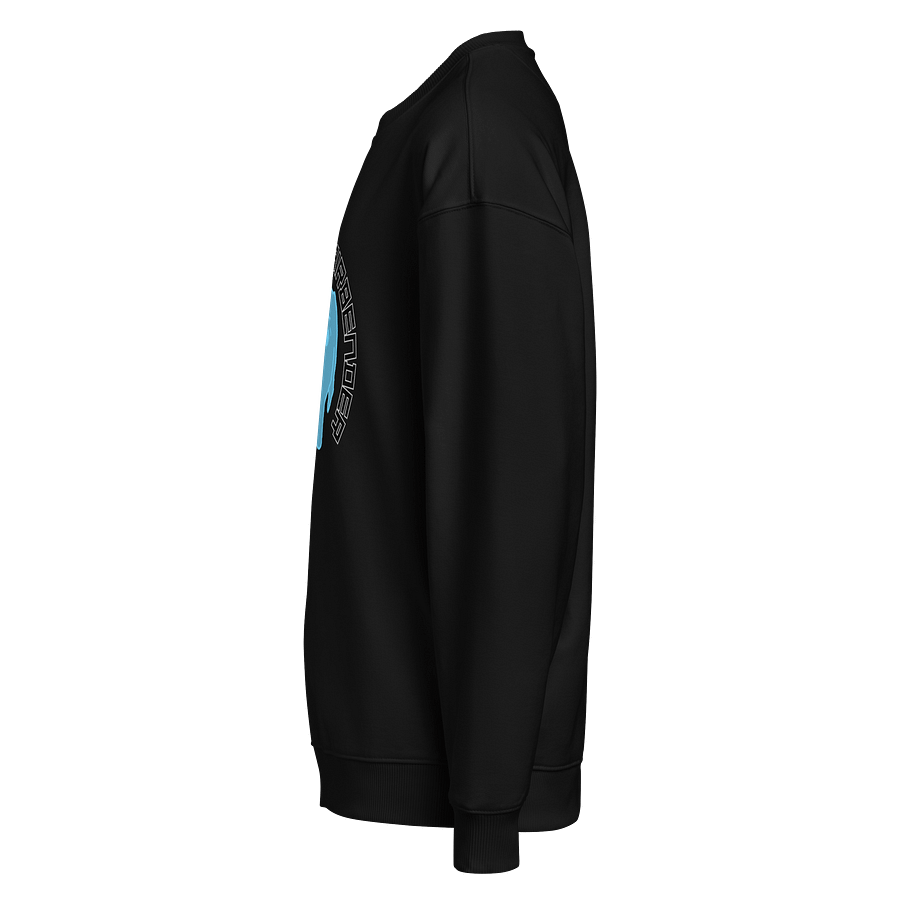 DTLA oversized crewneck sweater product image (5)