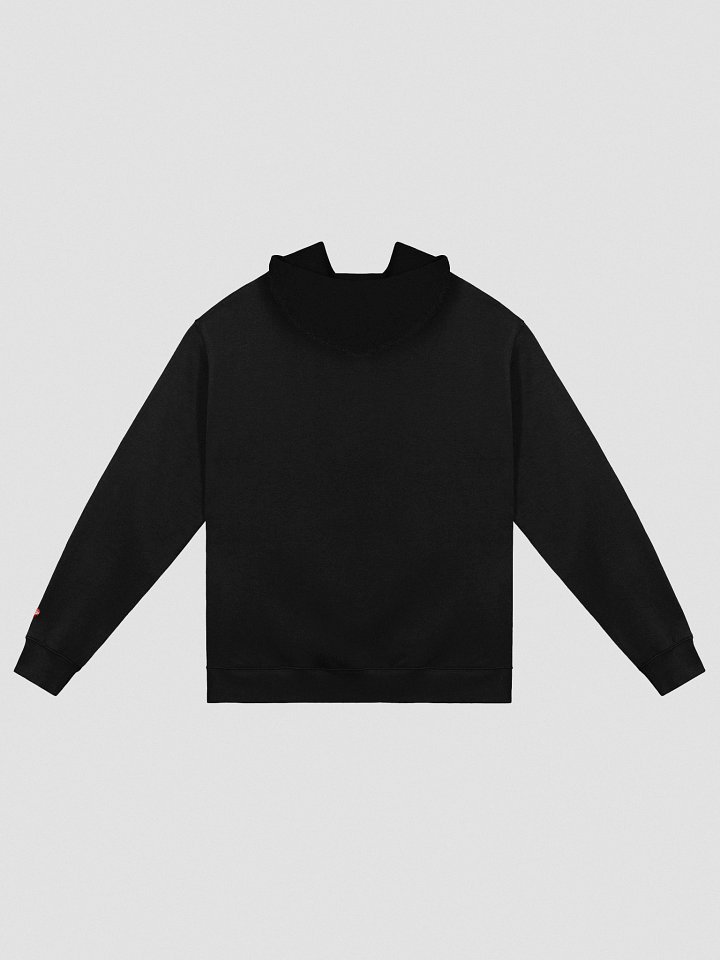 Hoodie with ASH Logo product image (2)
