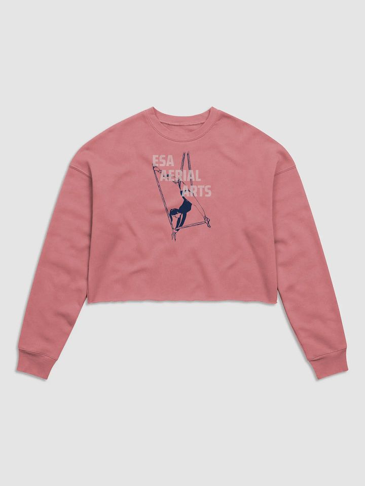 ESA Aerial Silhouette Women's Crop Sweatshirt product image (1)