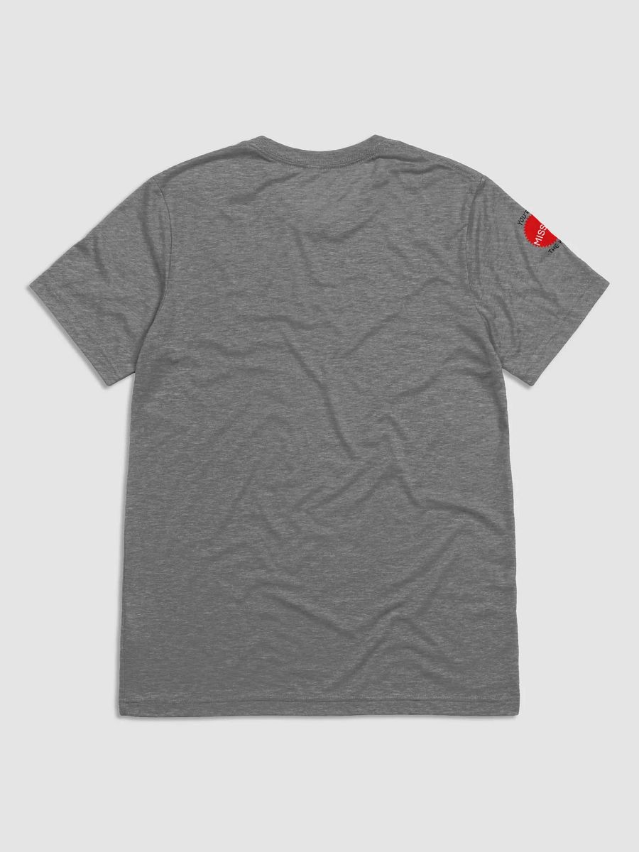 HOLLYWEIRD: Symbolism, Satanism and Sacrifices - Triblend Short Sleeve T-Shirt product image (2)