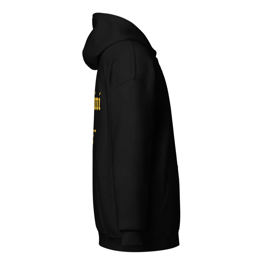 Gemini Zip Hoodie product image (4)