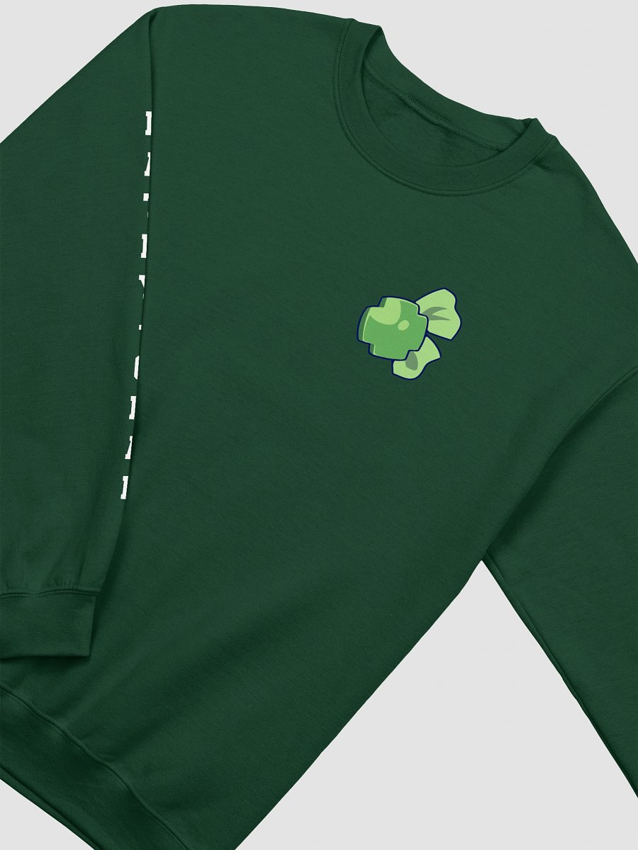 Kathy-chan Varsity Crew Neck Sweater product image (5)