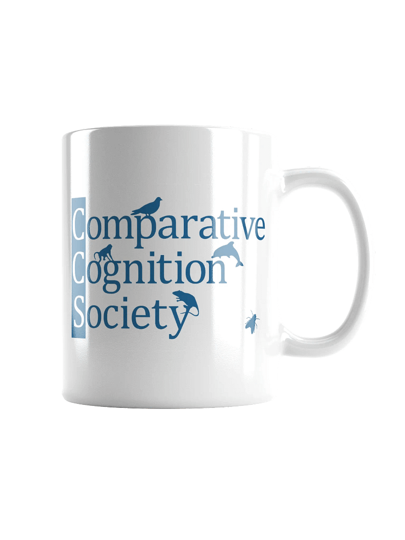 CCS mug