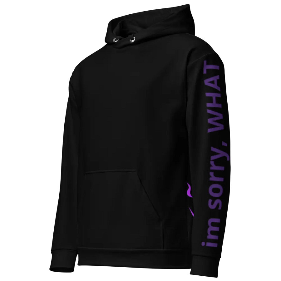 Hoodie v4 product image (2)