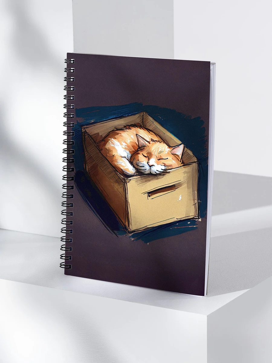 Kitty In A Box - Ginger Cat Spiral Notebook product image (4)