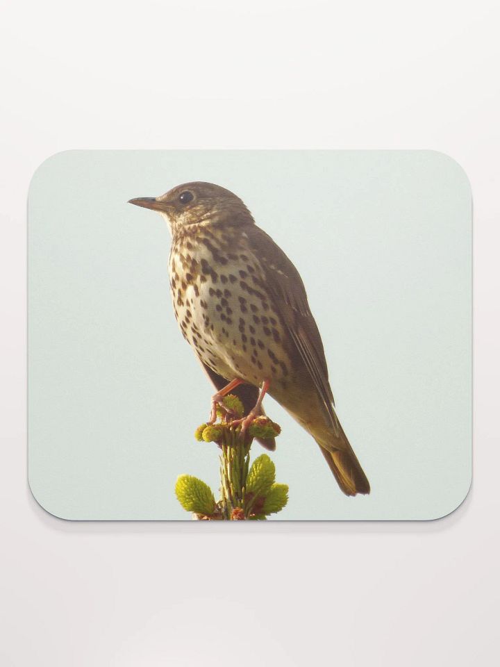 Classic Mouse Pad - The song thrush product image (2)