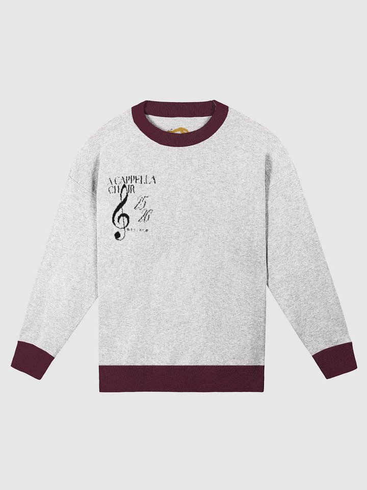 Singer Sweater! product image (1)
