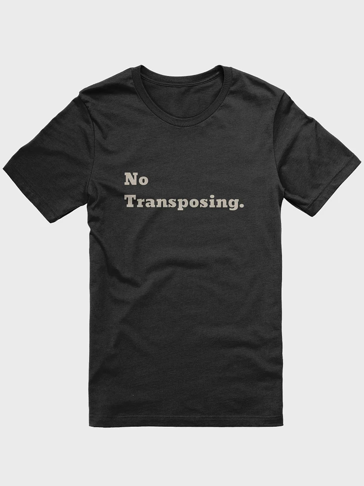 No Transposing T-Shirt - Black product image (1)