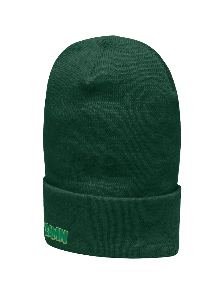 ZAMN Logo Beanie: Green product image (2)