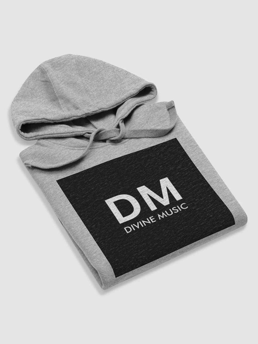 DIVINE HOODIE GRAY product image (5)