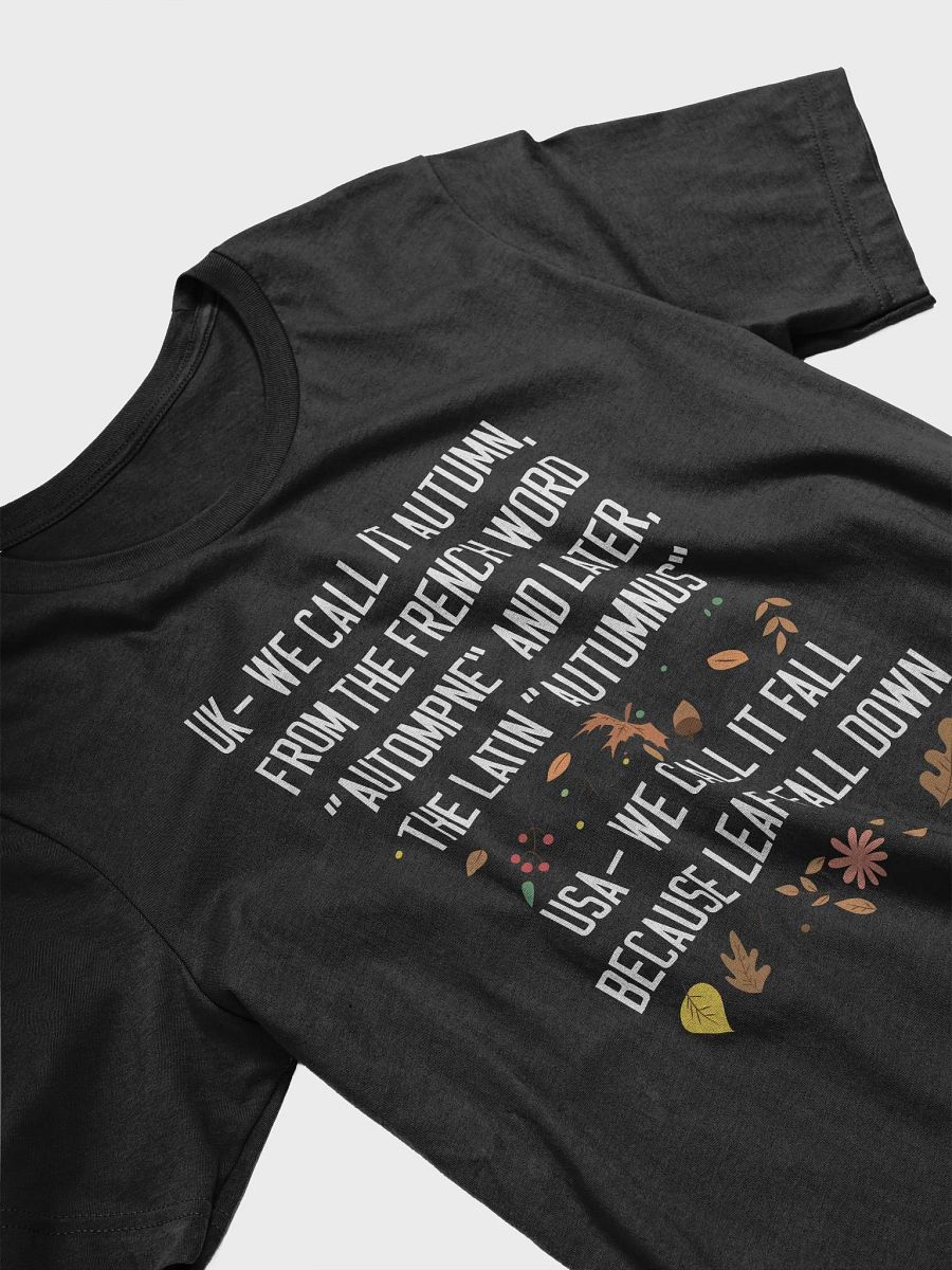 🍁 UK vs USA Autumn Humor T-Shirt | Funny Fall Word Origins Shirt | Quirky Autumn Season Tee product image (23)