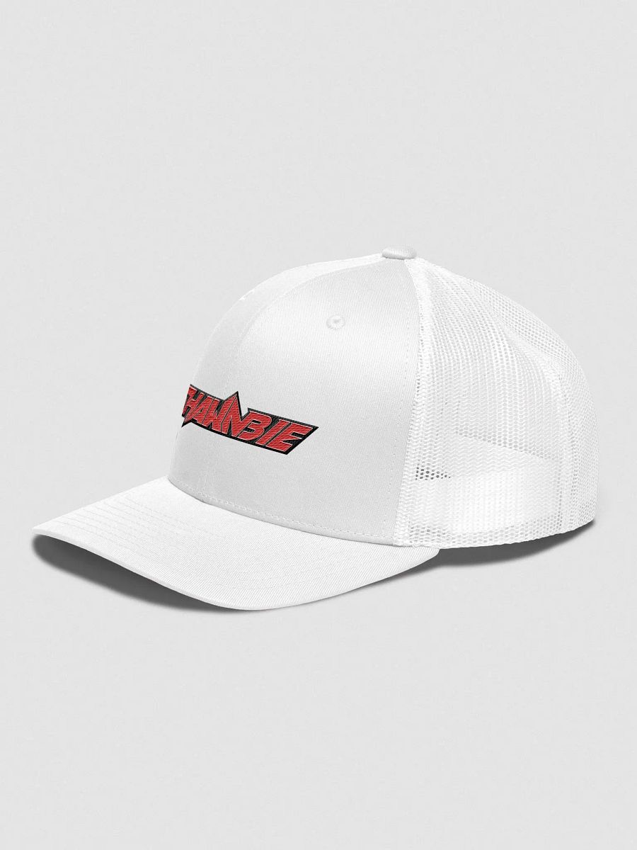 SHAWNBIE Logo Adjustable Hat White product image (2)