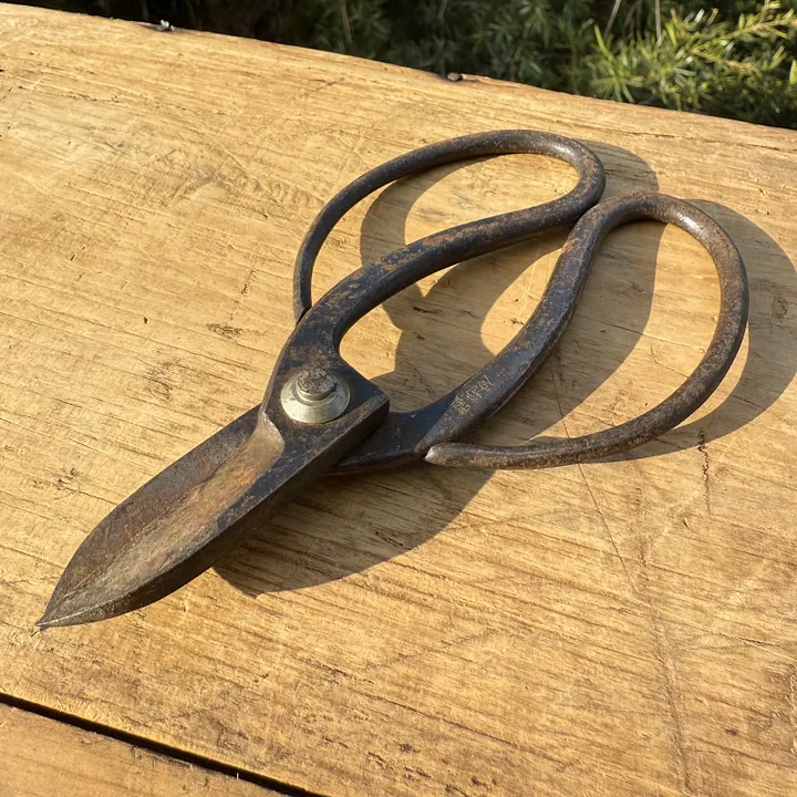 🎎 Antique Japanese garden shears - Japan Antique Roadshow Description: product image (1)