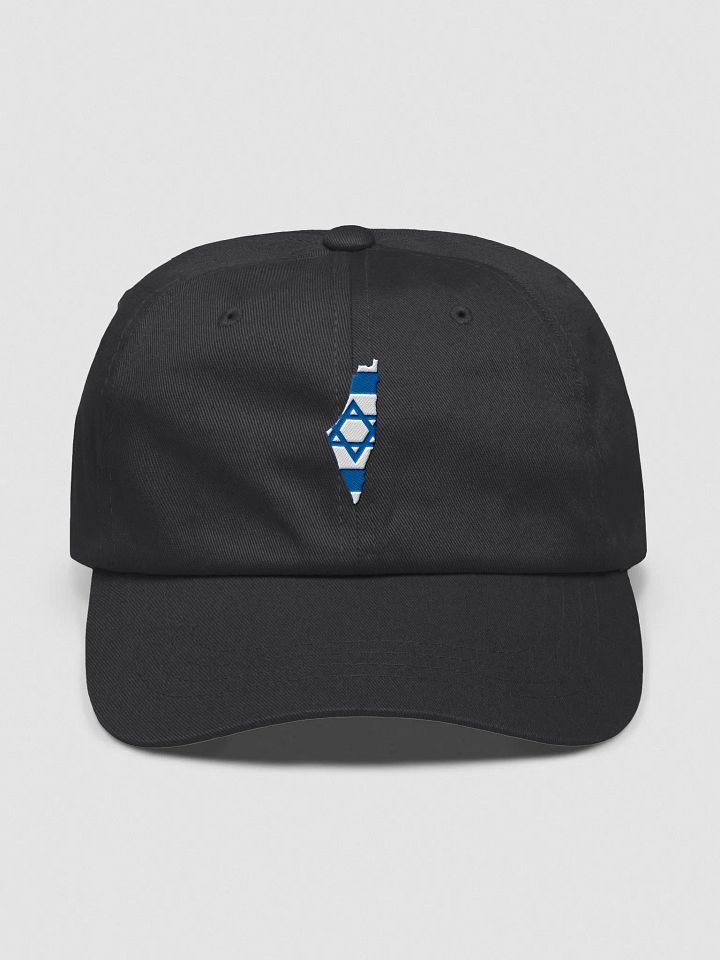 The Land Dad Hat – Flag Edition product image (4)