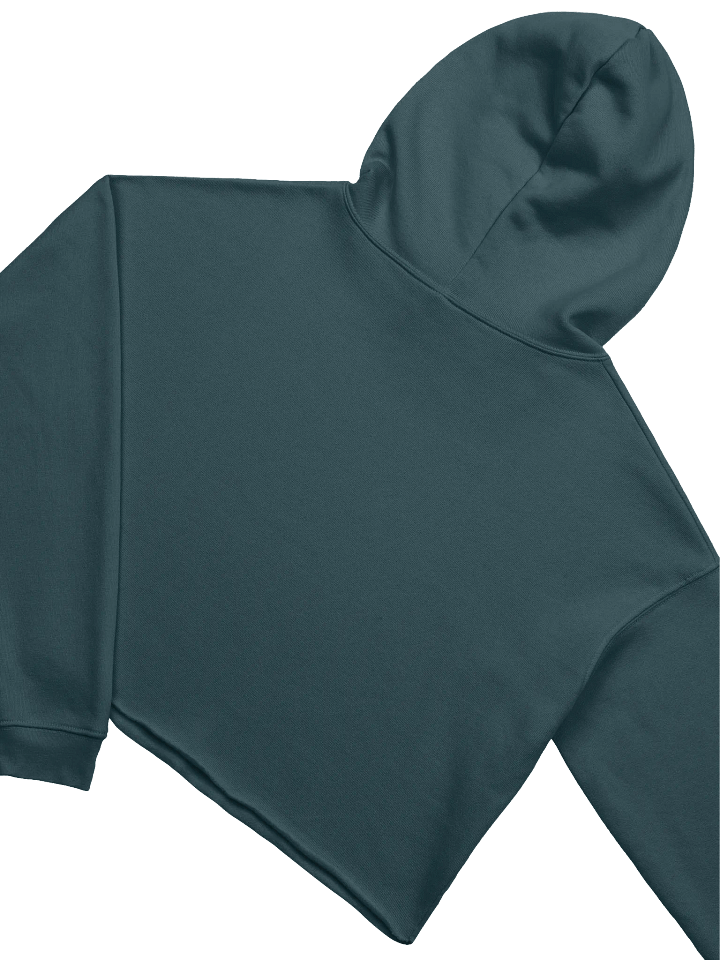'90s Swag Crop Hoodie product image (2)