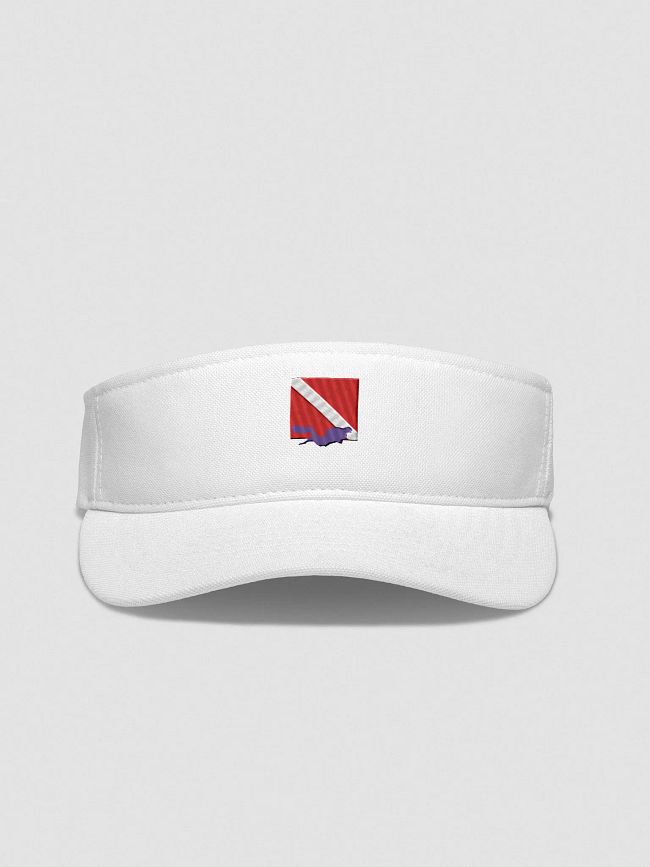 Visors