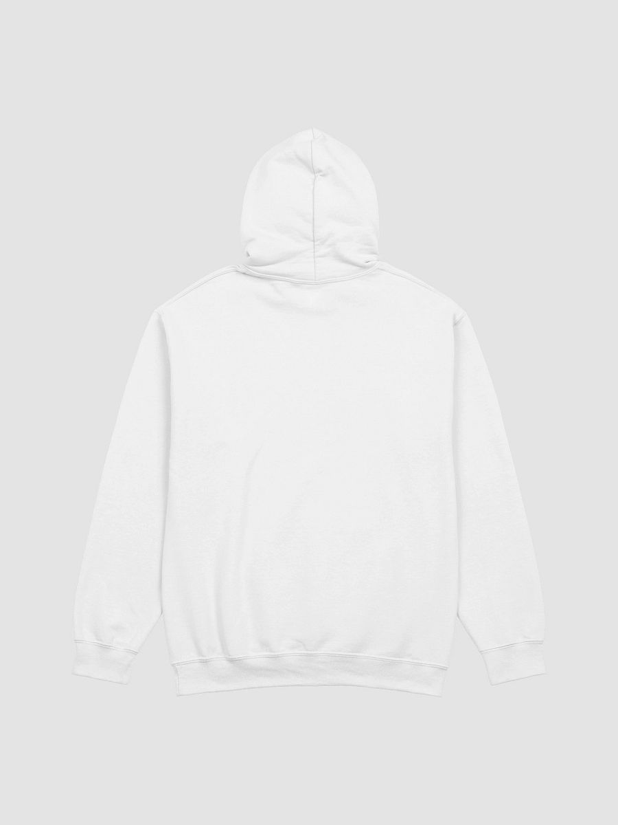 Singer From Kazakhstan Gildan Unisex Hoodie product image (31)