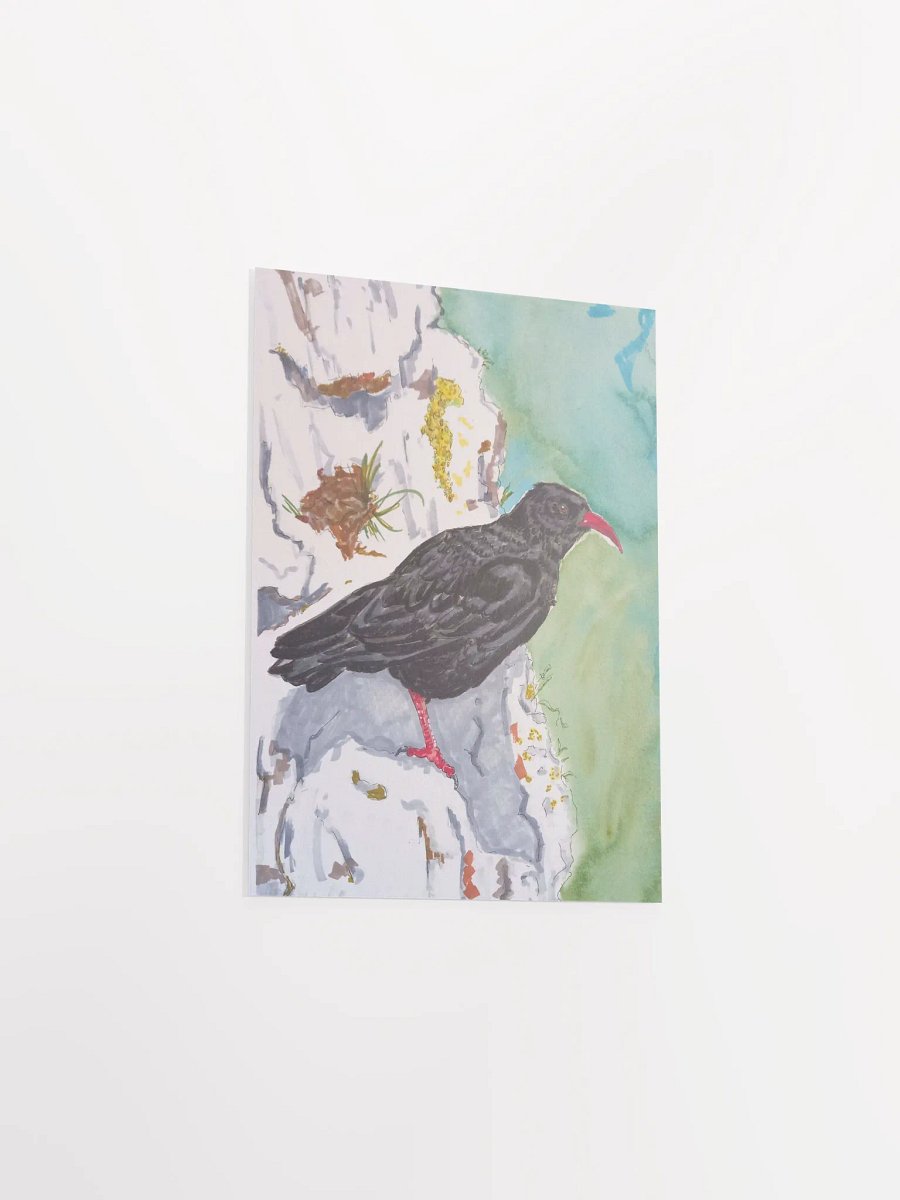 Corvid Series [04] Chough poster print product image (3)