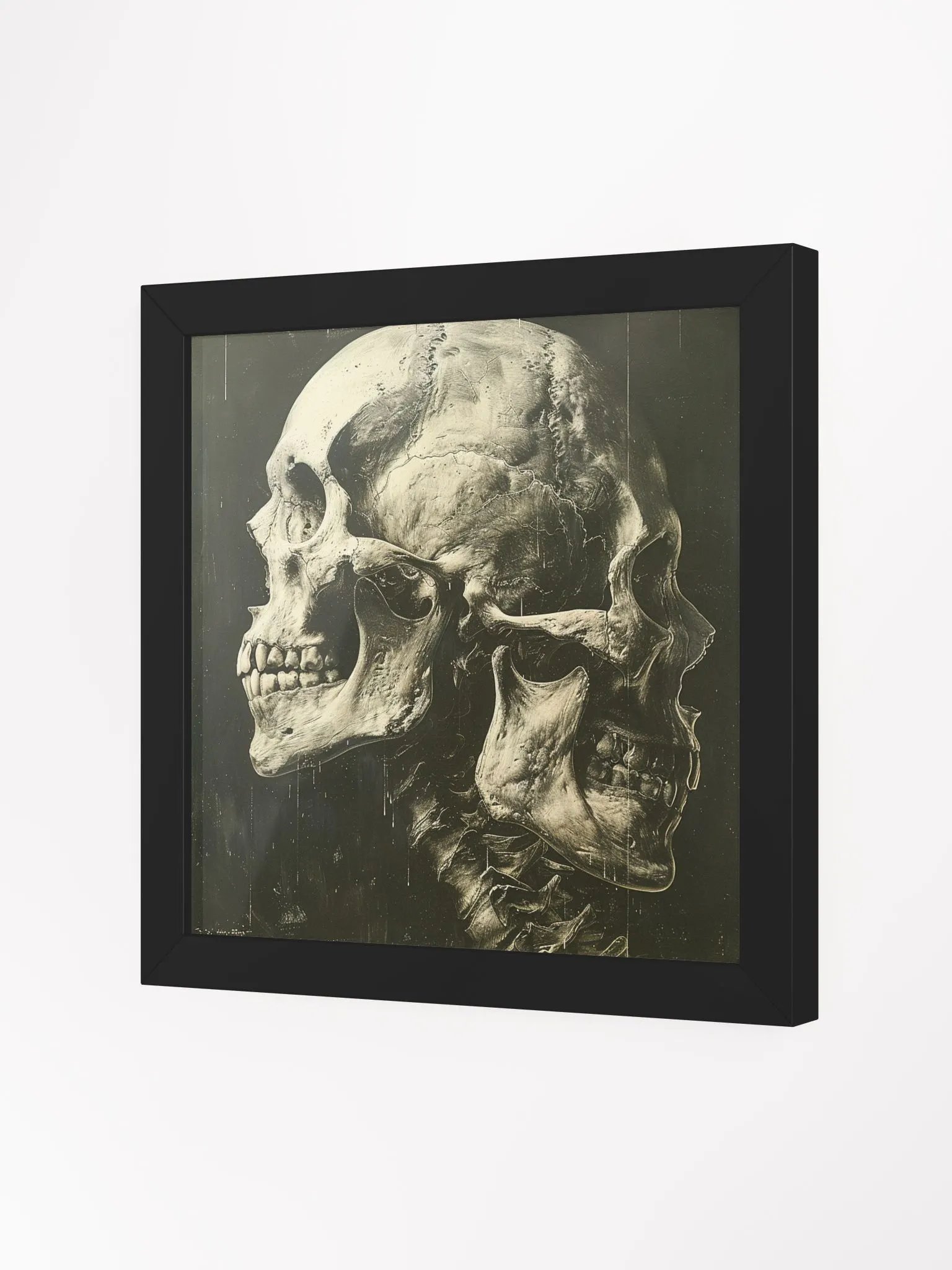 Skeleton Heads of Conjoined Twins Black and White Framed Wall Art product image (19)