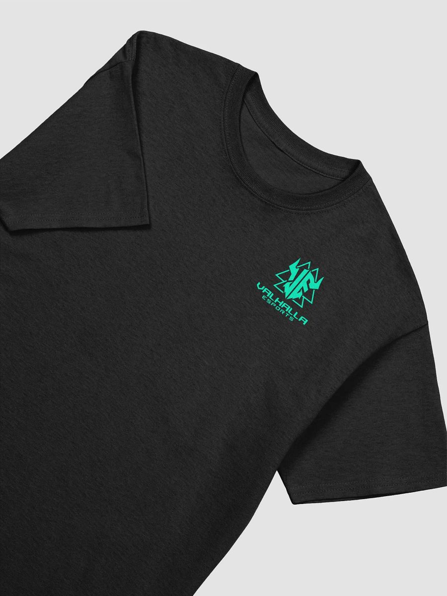 VE Front-Back Shirt product image (7)