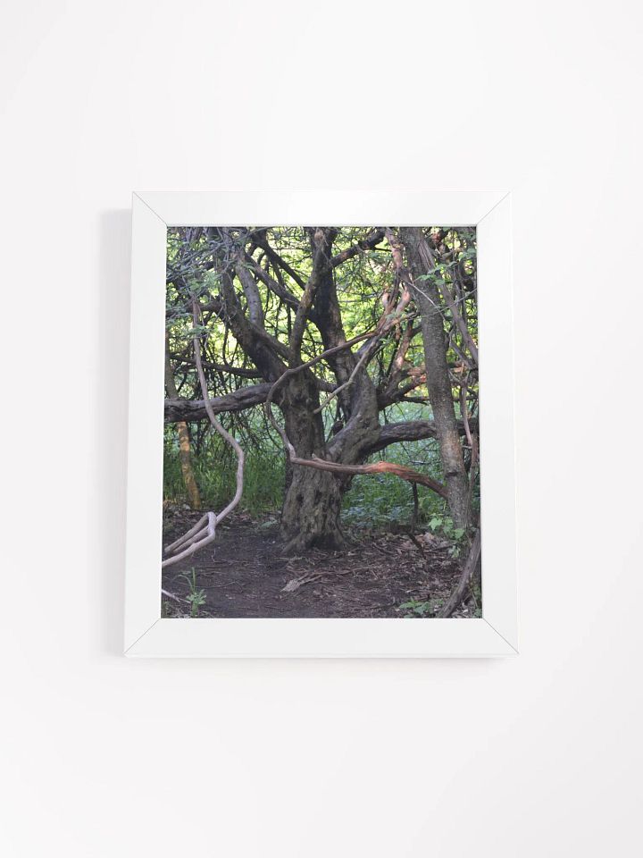 Tree of Branches High Quality Poster product image (1)
