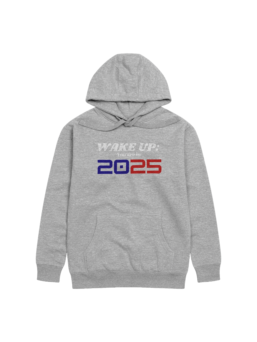 Wake up: You Are In 2025 Unisex Premium Hoodie product image (2)