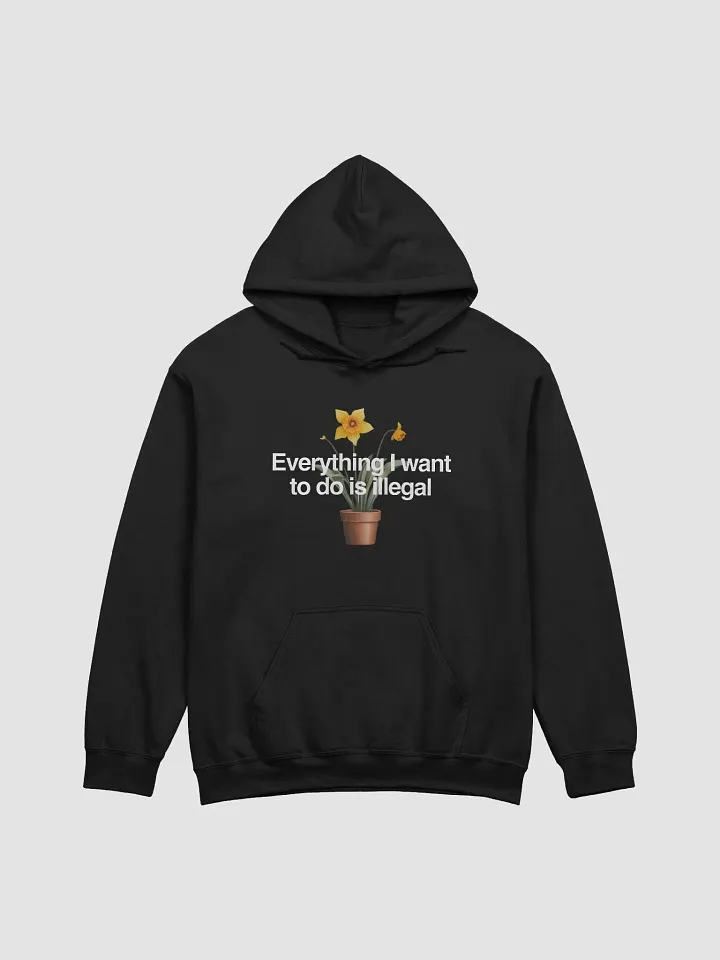 Everything I Want To Do Is illegal Hoodie product image (1)