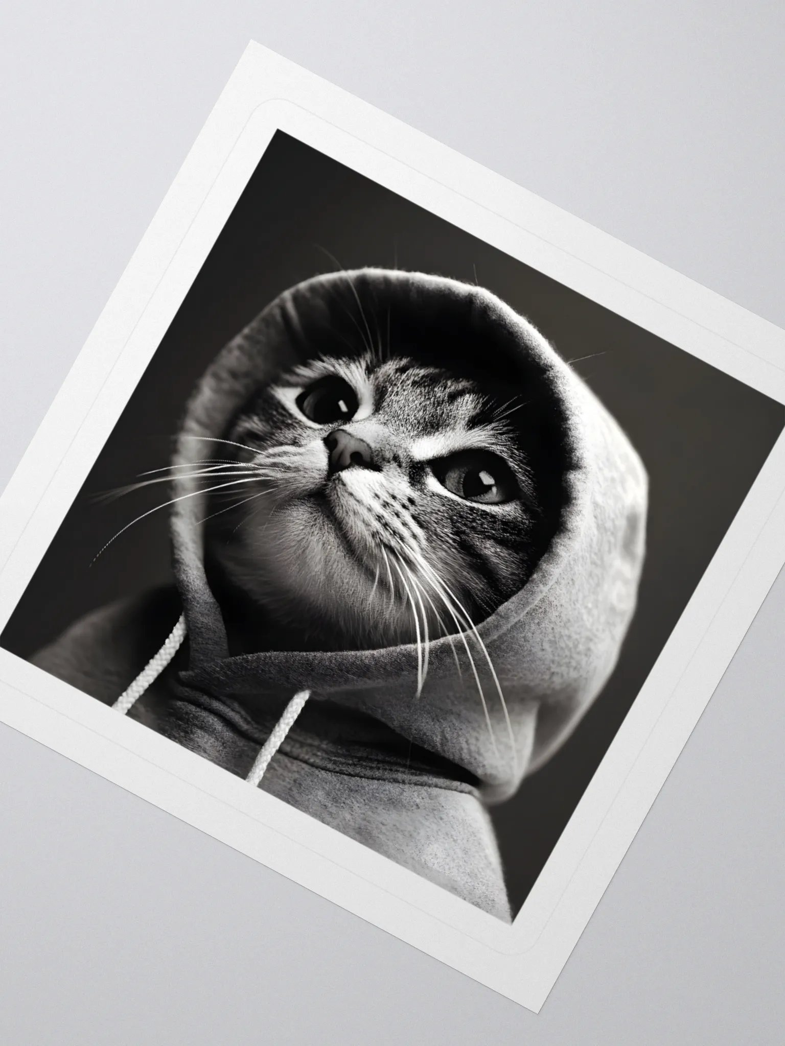 Hacker Cat product image (5)