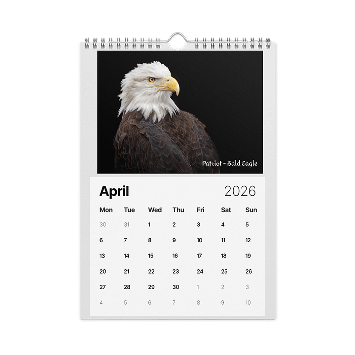 WBS 2026 Calendar product image (1)